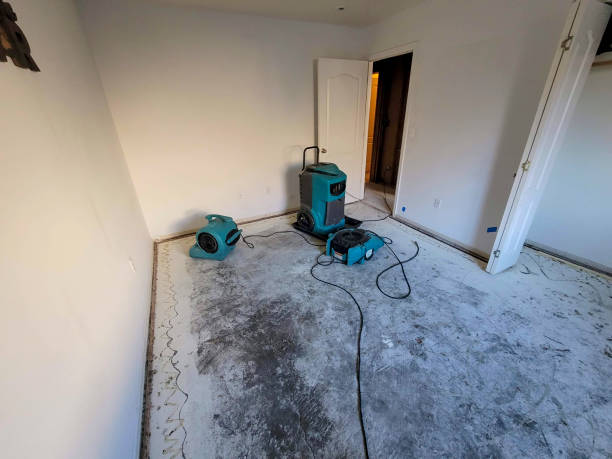 Best Water damage restoration experts  in Melville, RI