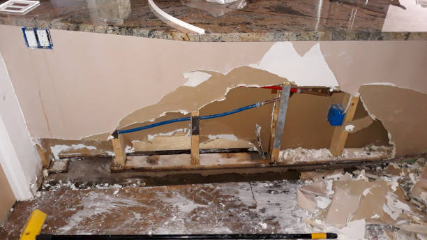 Best Mold removal after water damage  in Melville, RI