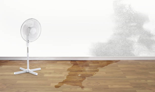 Reliable Melville, RI Water damage restoration Solutions