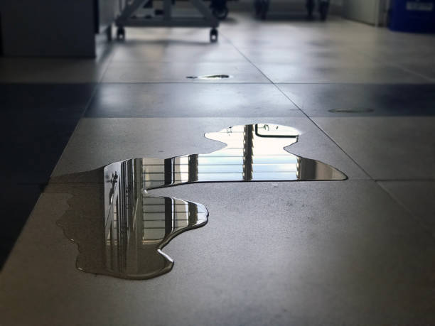 Best Local water damage restoration  in Melville, RI