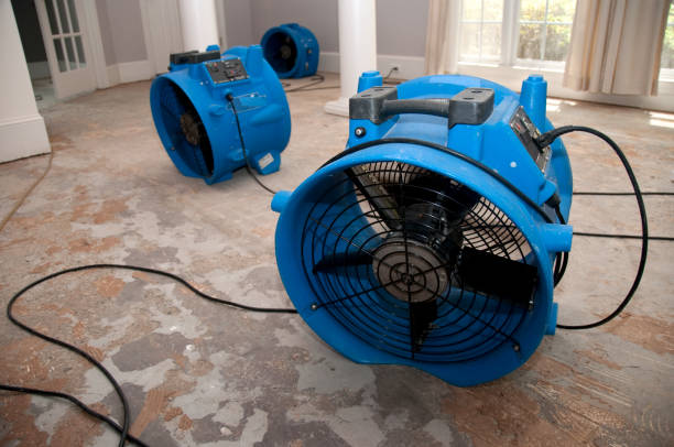  Melville, RI Water damage restoration Pros